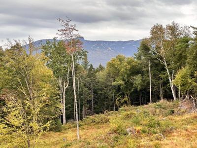 2364 mountain Road