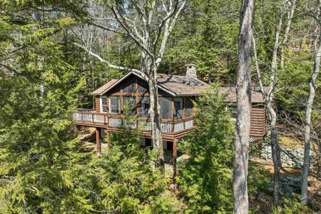 10 Treetop Lane