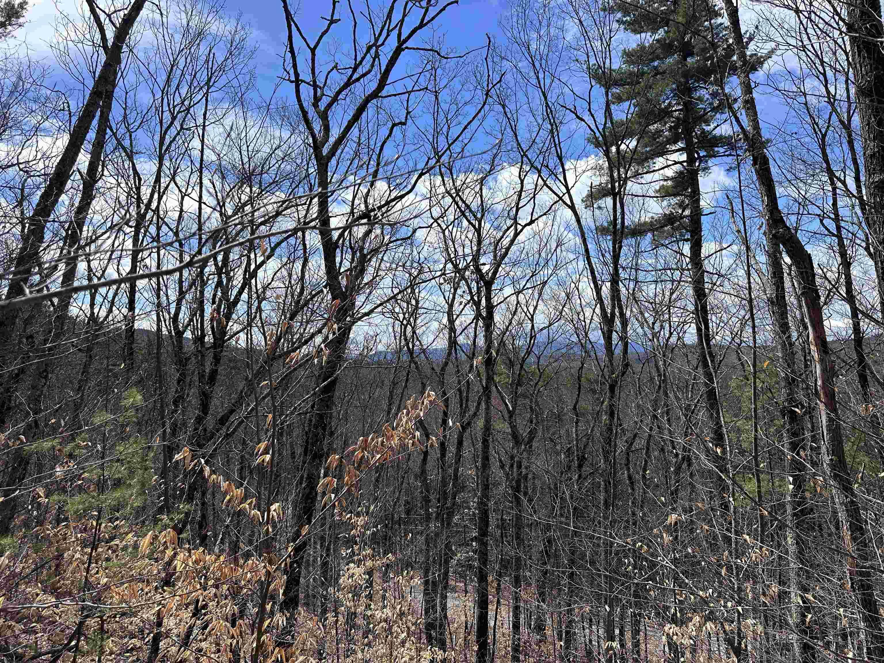 Image 1 Image 1