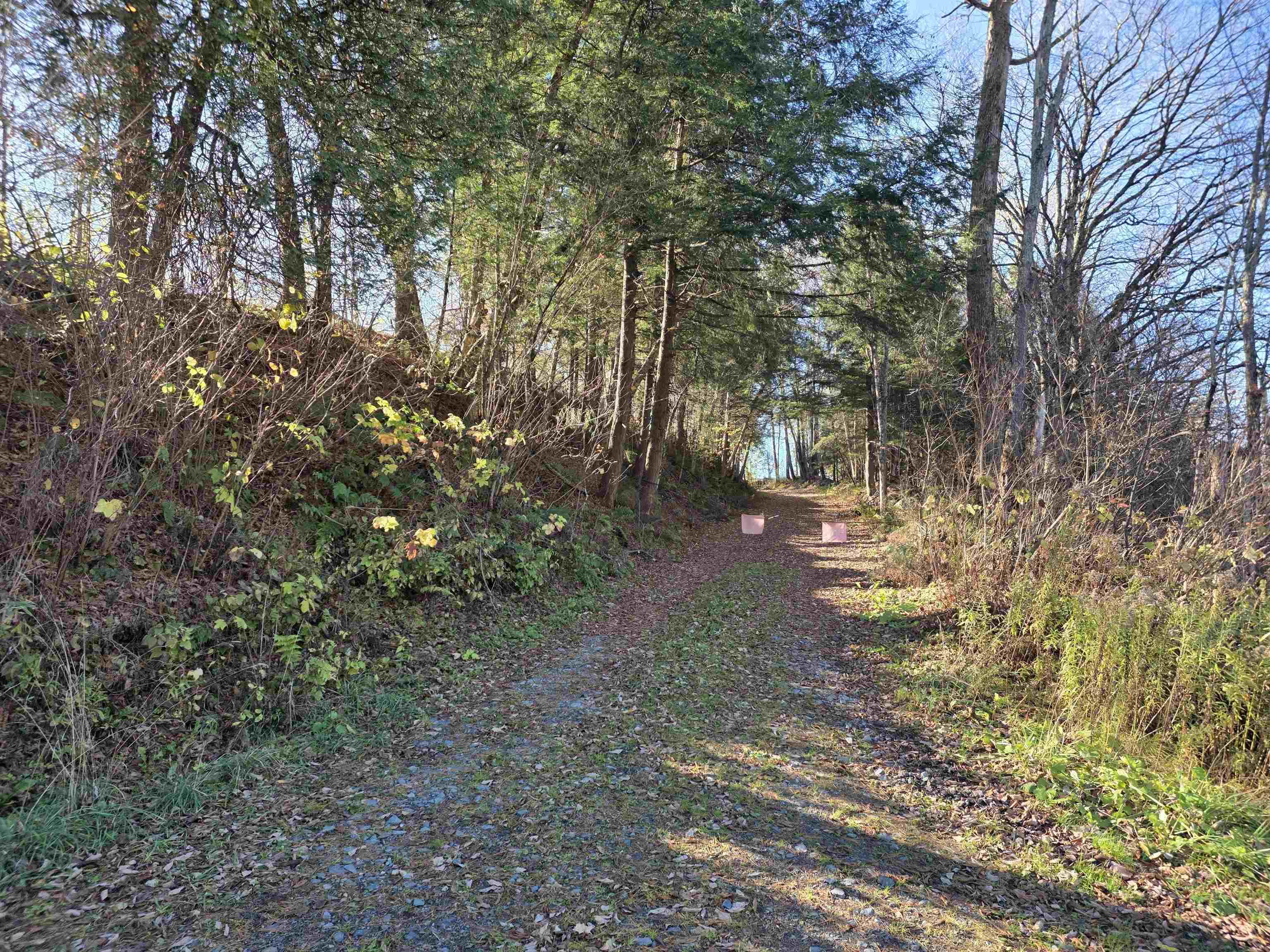 Image 4: Access Lane to Land