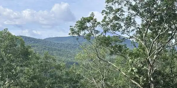 Image 2: A nice vista