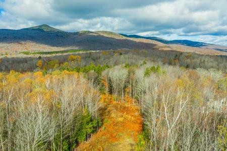 Lot 4 Mountain Ridge Drive