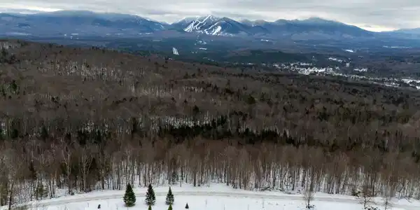 TBD Nature Drive