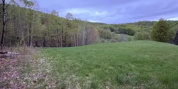 199 Arthur Morgan Road