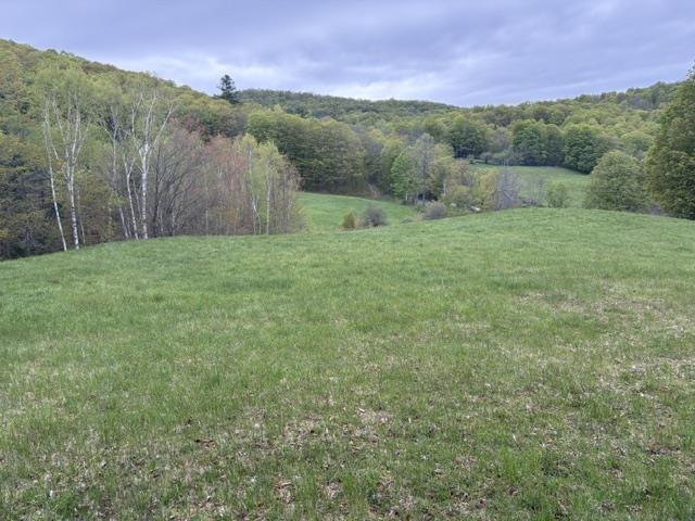Image 2 Image 2