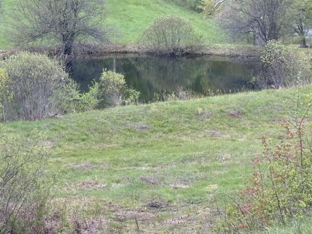 Image 3 Image 3