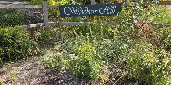 3 Windsor Hill Way
