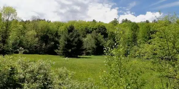 801 Vermont Route 100