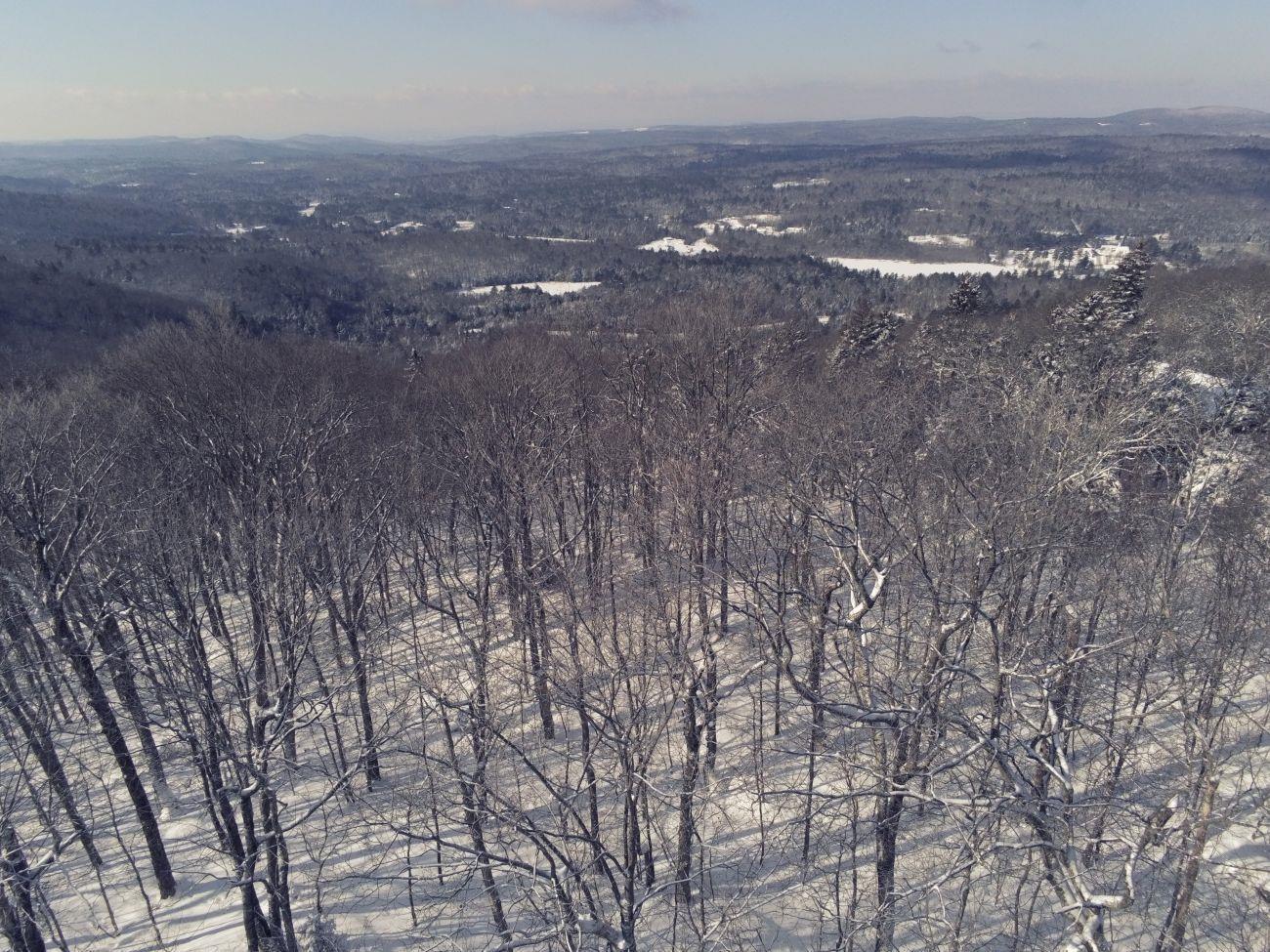 Image 4: Views facing West
