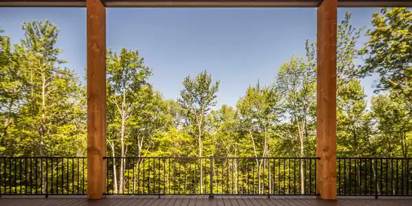 Image 2: Lovely deck within the tree canopy- Fall foliage coming soon
