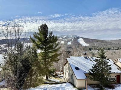 15D Mountain Village
