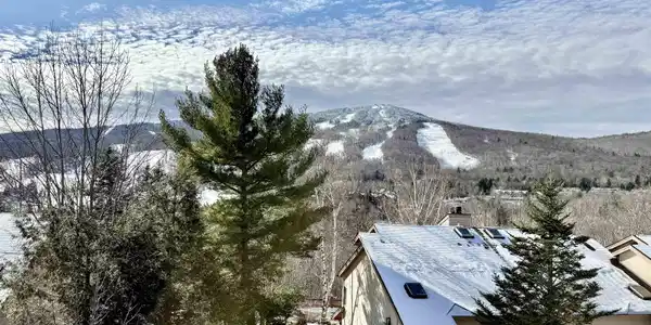 15D Mountain Village