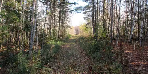 00 Farm Road