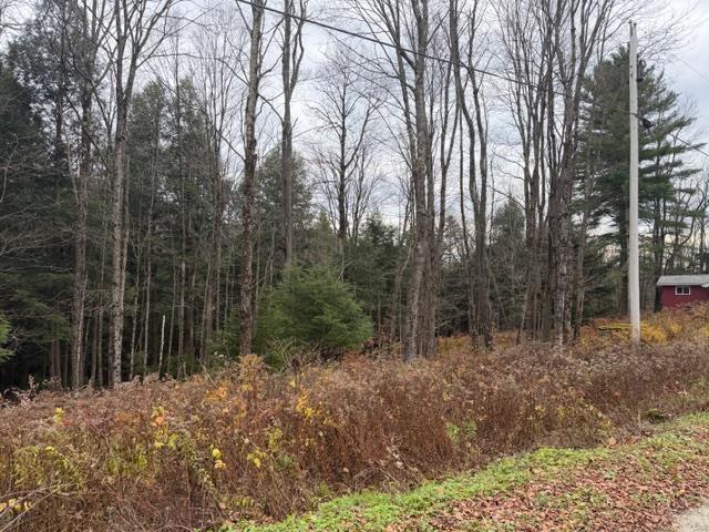 Image 1 Image 1