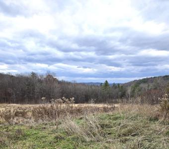 3531 Dairy Hill Road