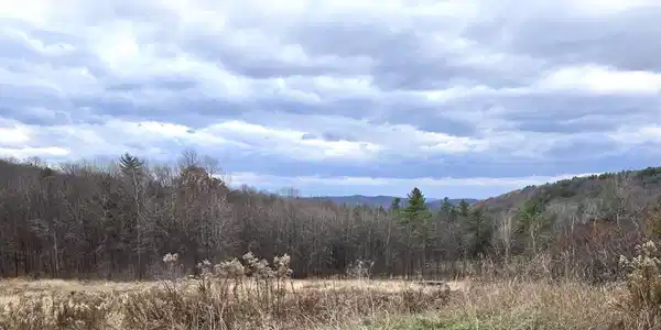 3531 Dairy Hill Road