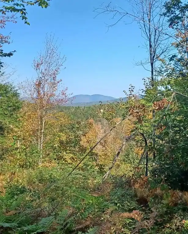 Image 1 Image 1