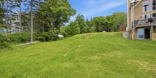 Image 4 Image 4
