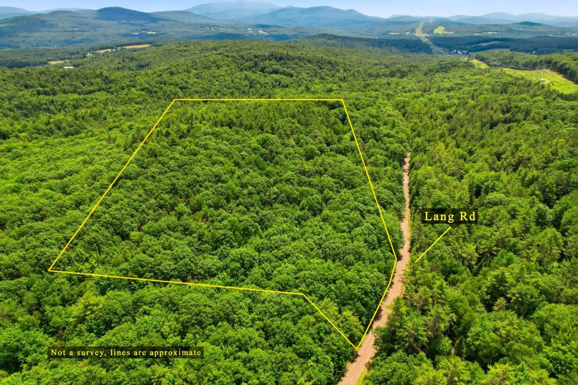 Image 1 Image 1