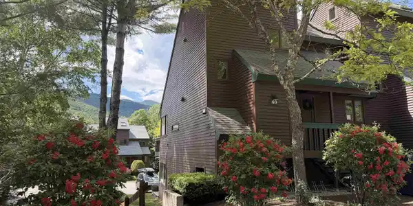 3 Pine Tree Way