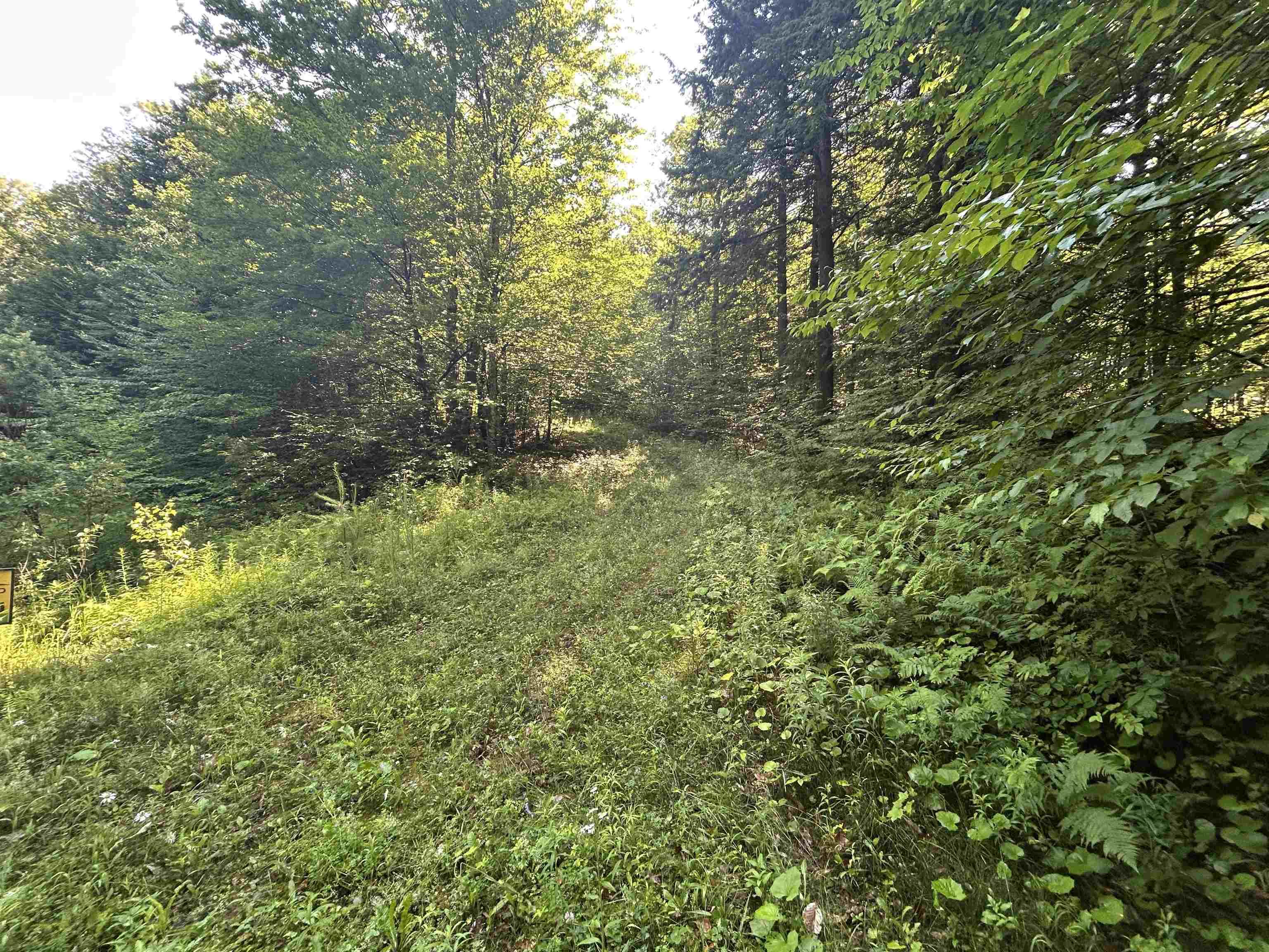 Image 1 Image 1