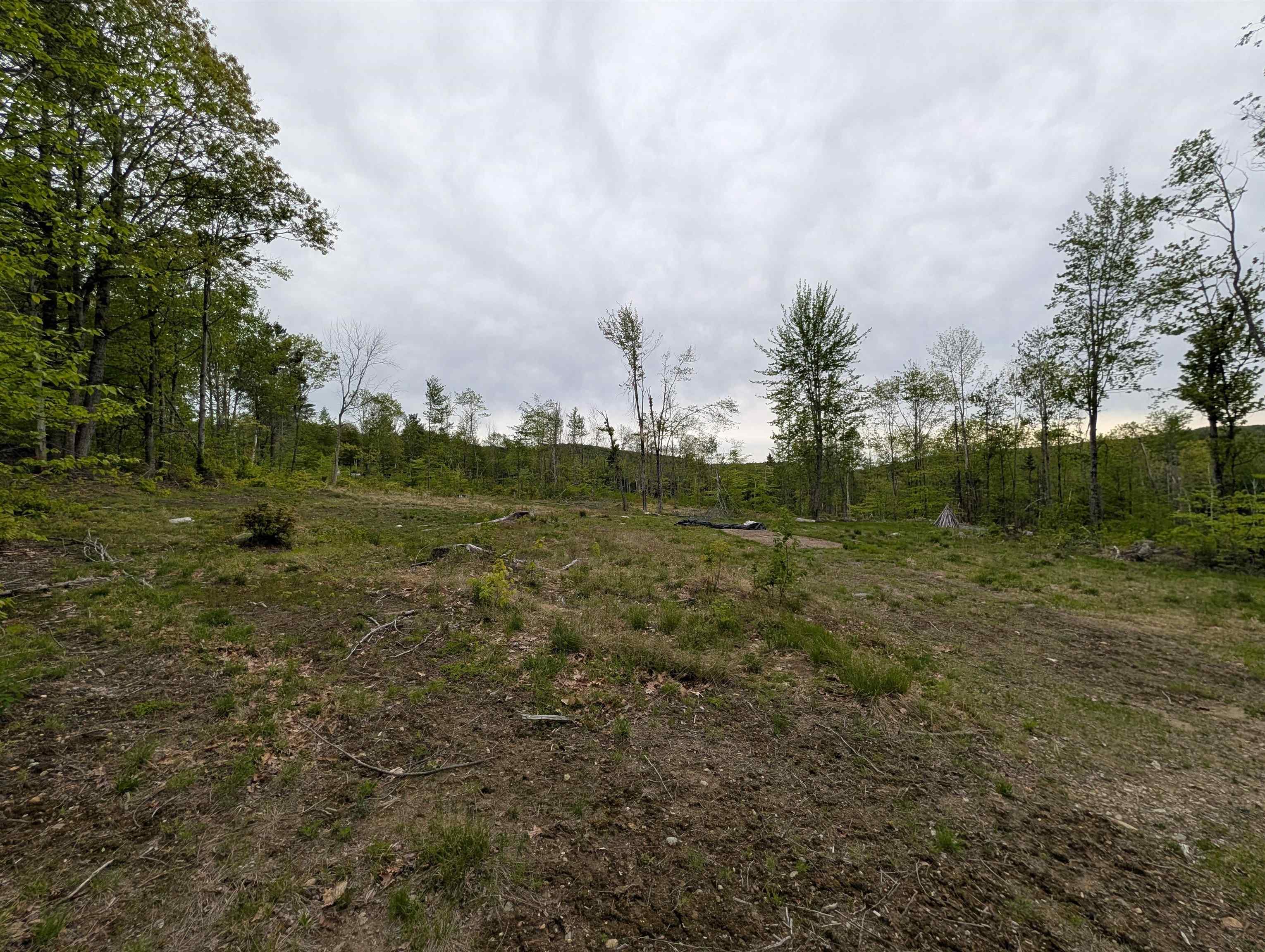 Image 4 Image 4
