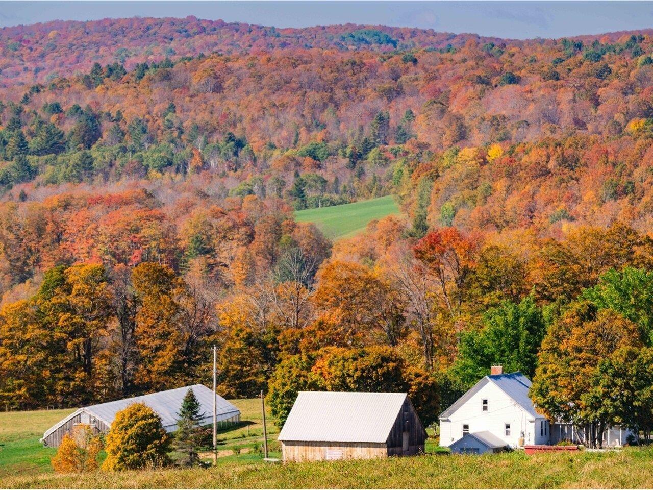 Image 1: Picturesque setting! Image 1: Picturesque setting!
