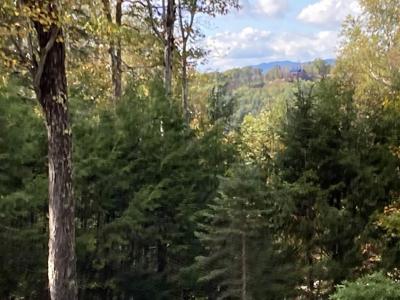 Abnaki Trail