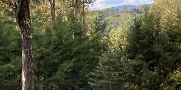 Abnaki Trail