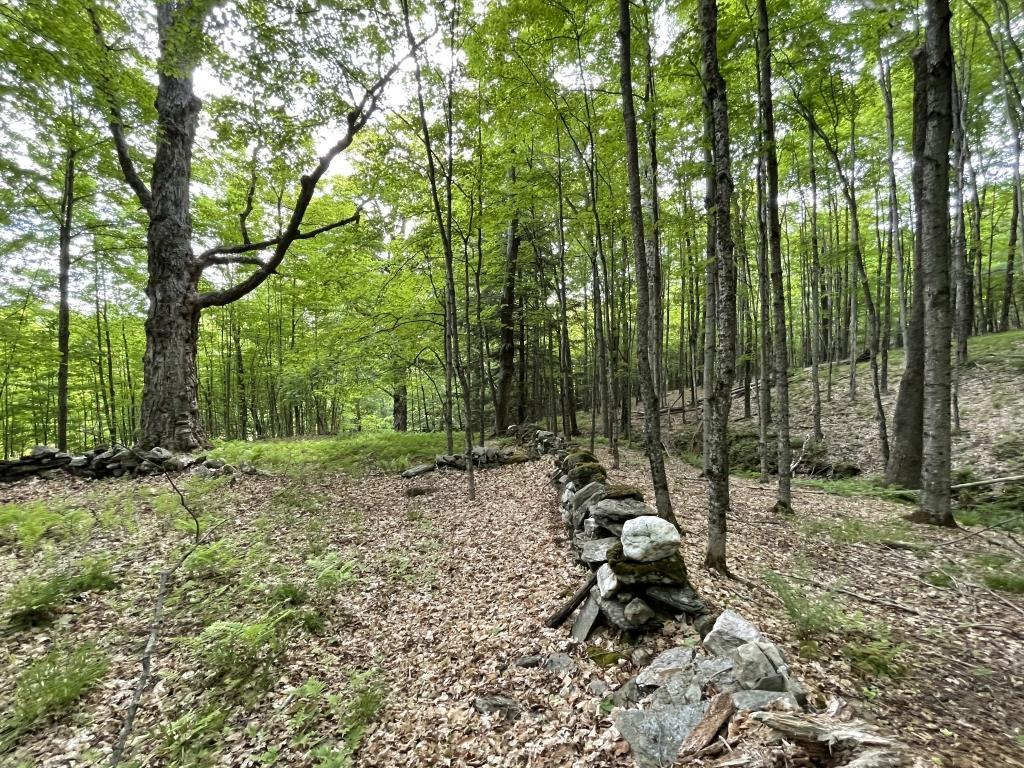 Image 4 Image 4