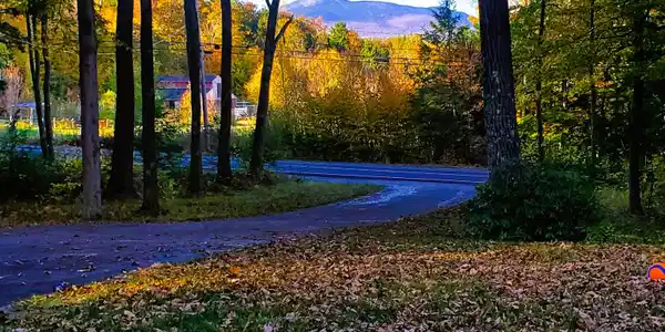 484 Route 119 East