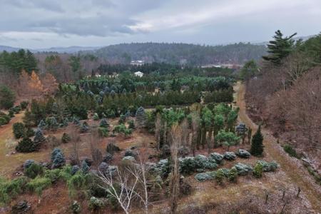 0 Mount Moosilauke Highway