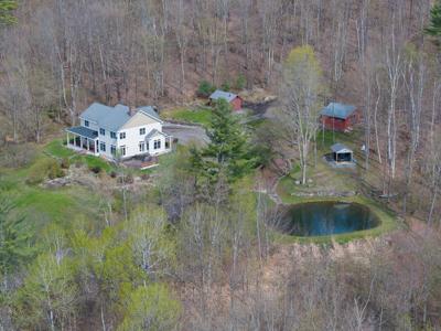 10 Hedgehog Hill