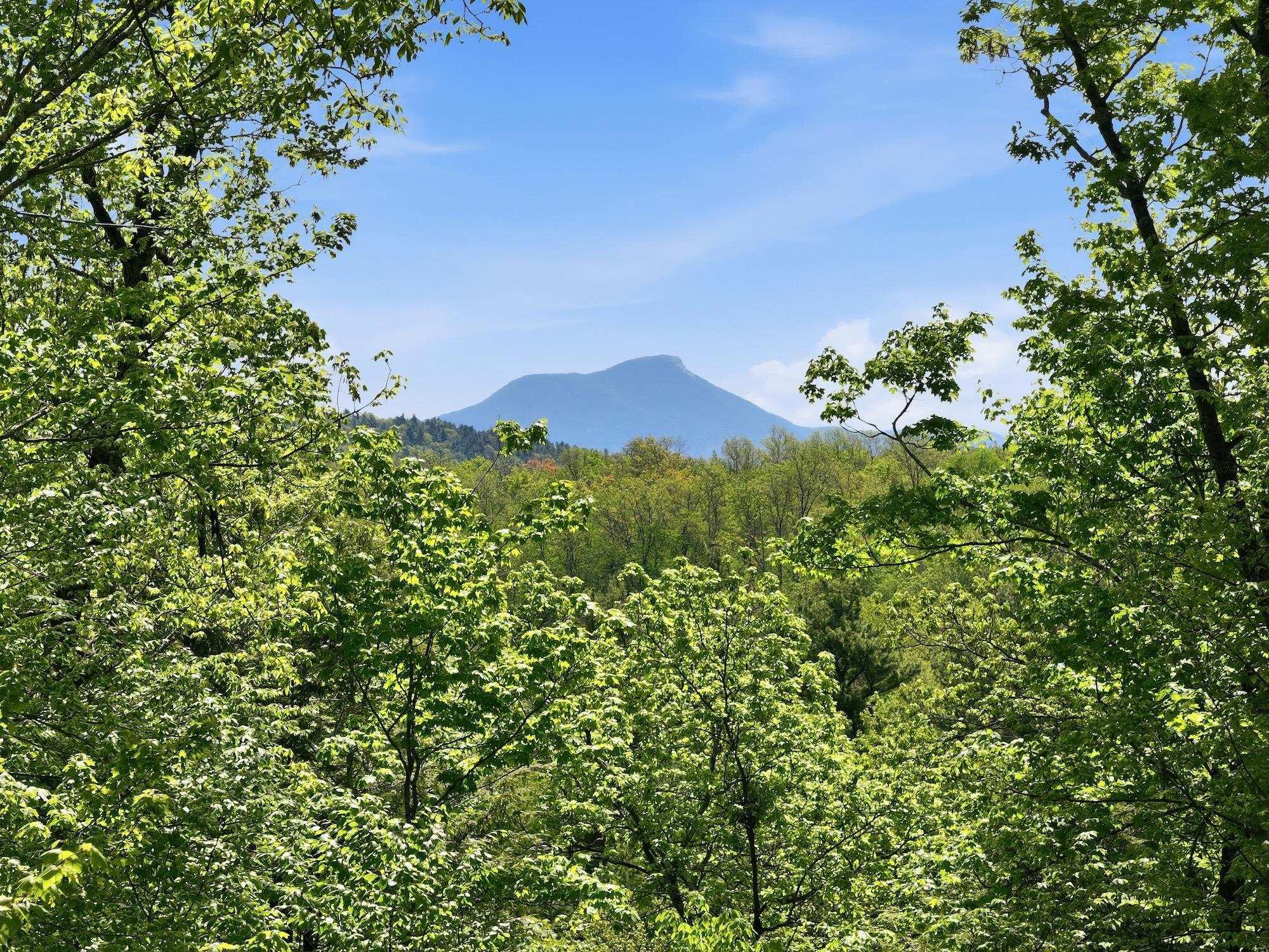 Image 2: Distinct views east from high build site