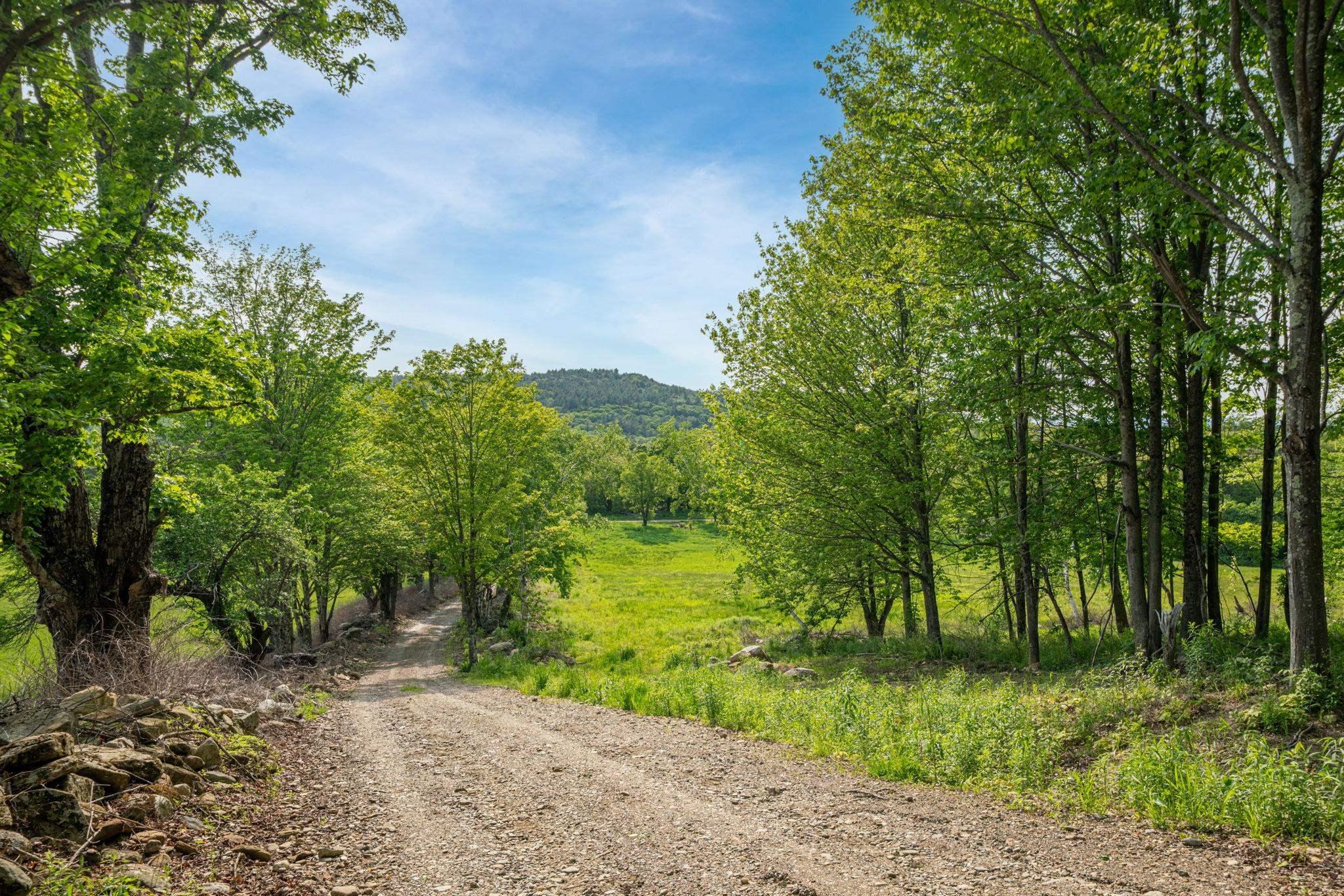 Image 3: Driveway to house