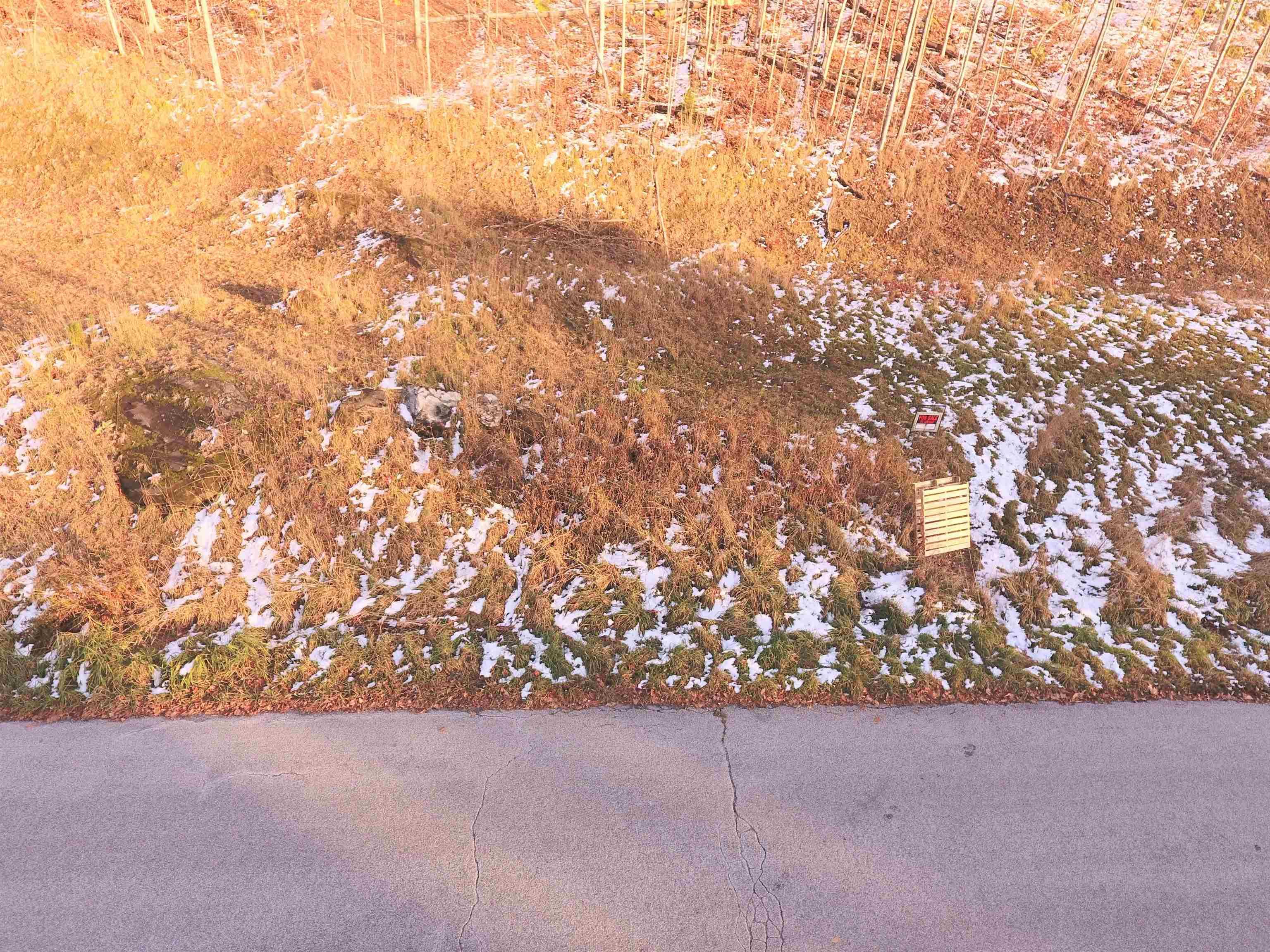 Image 3 Image 3