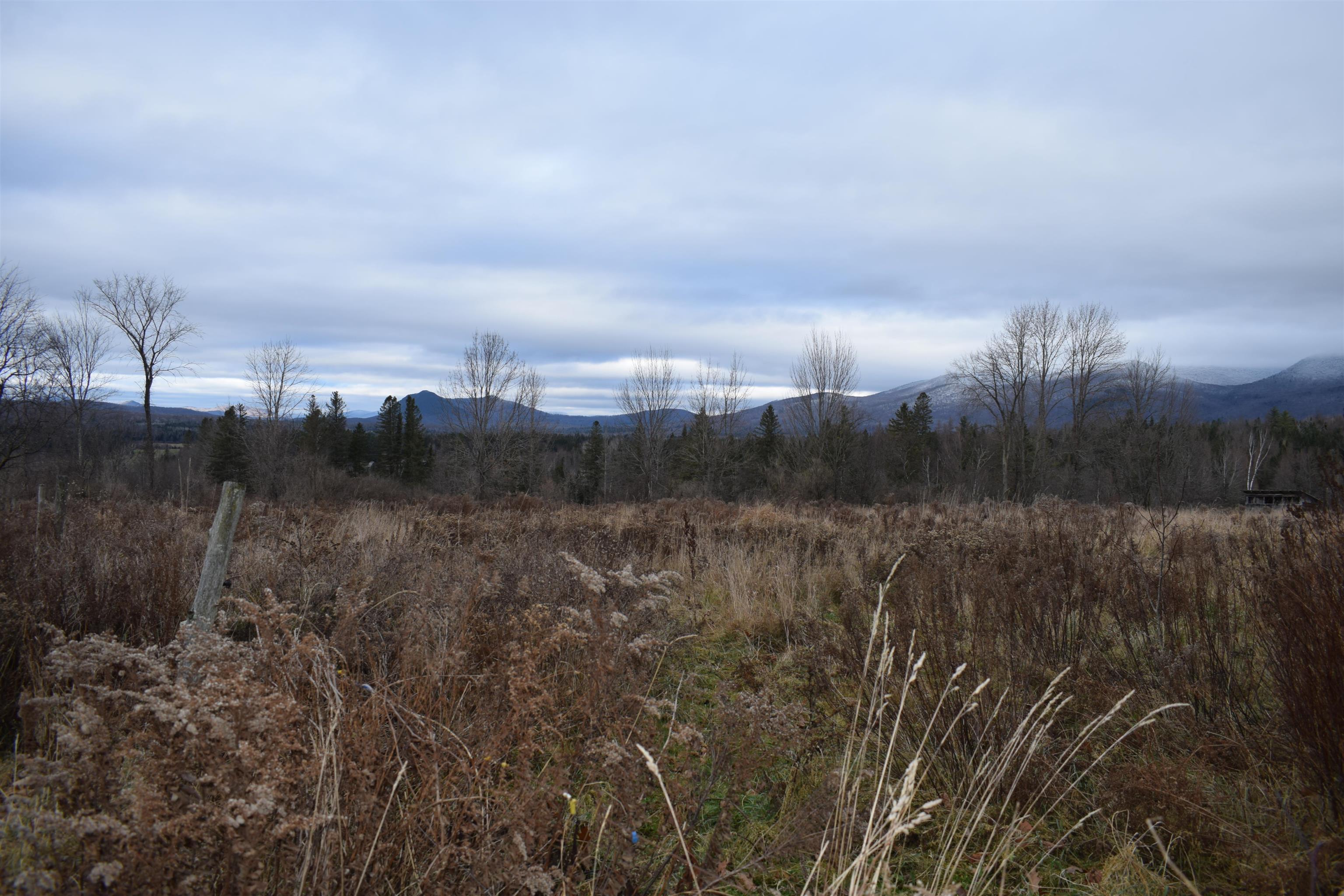 Image 1 Image 1