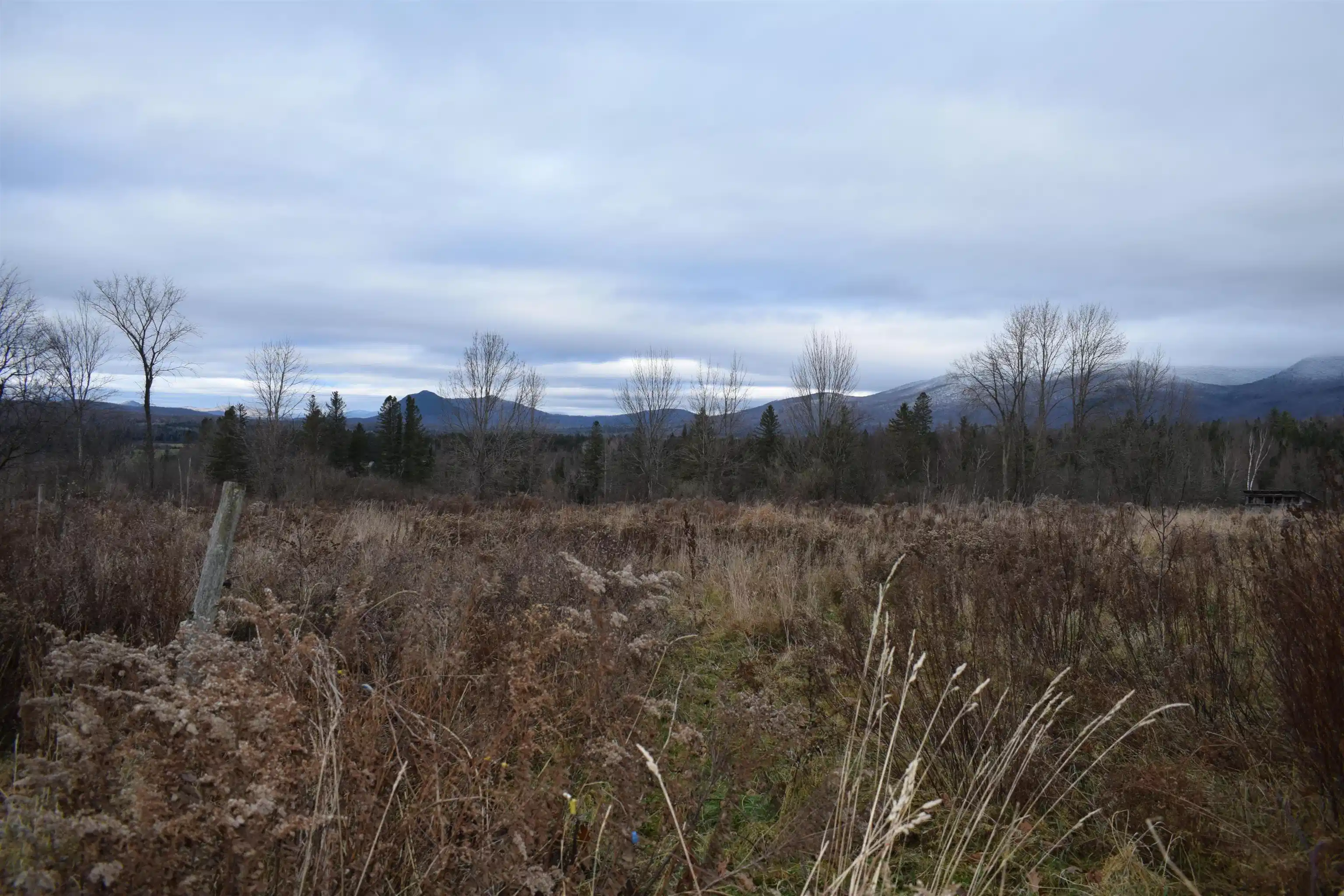 Image 1 Image 1