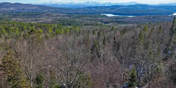 Majestic View Drive