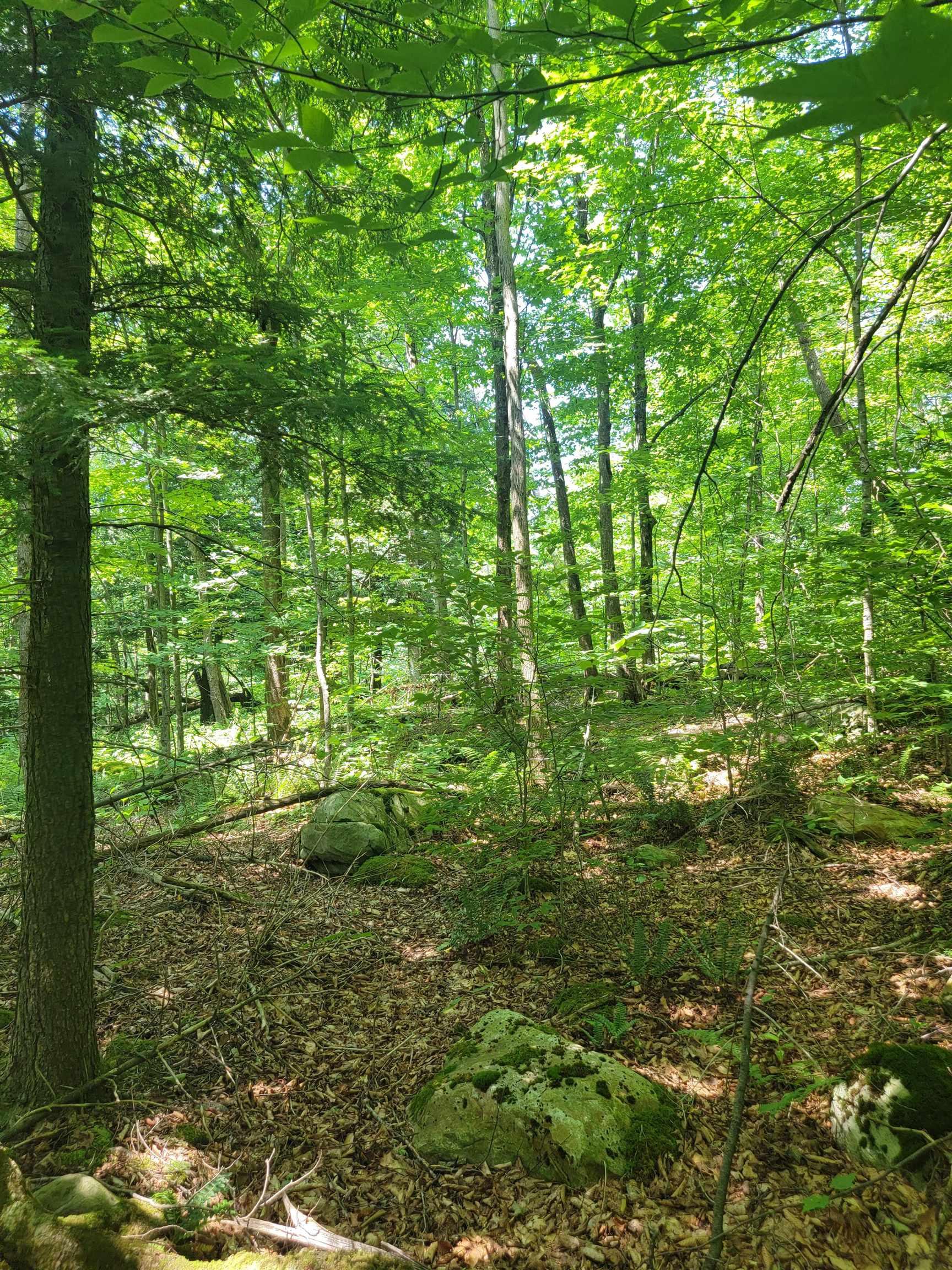 Image 2 Image 2