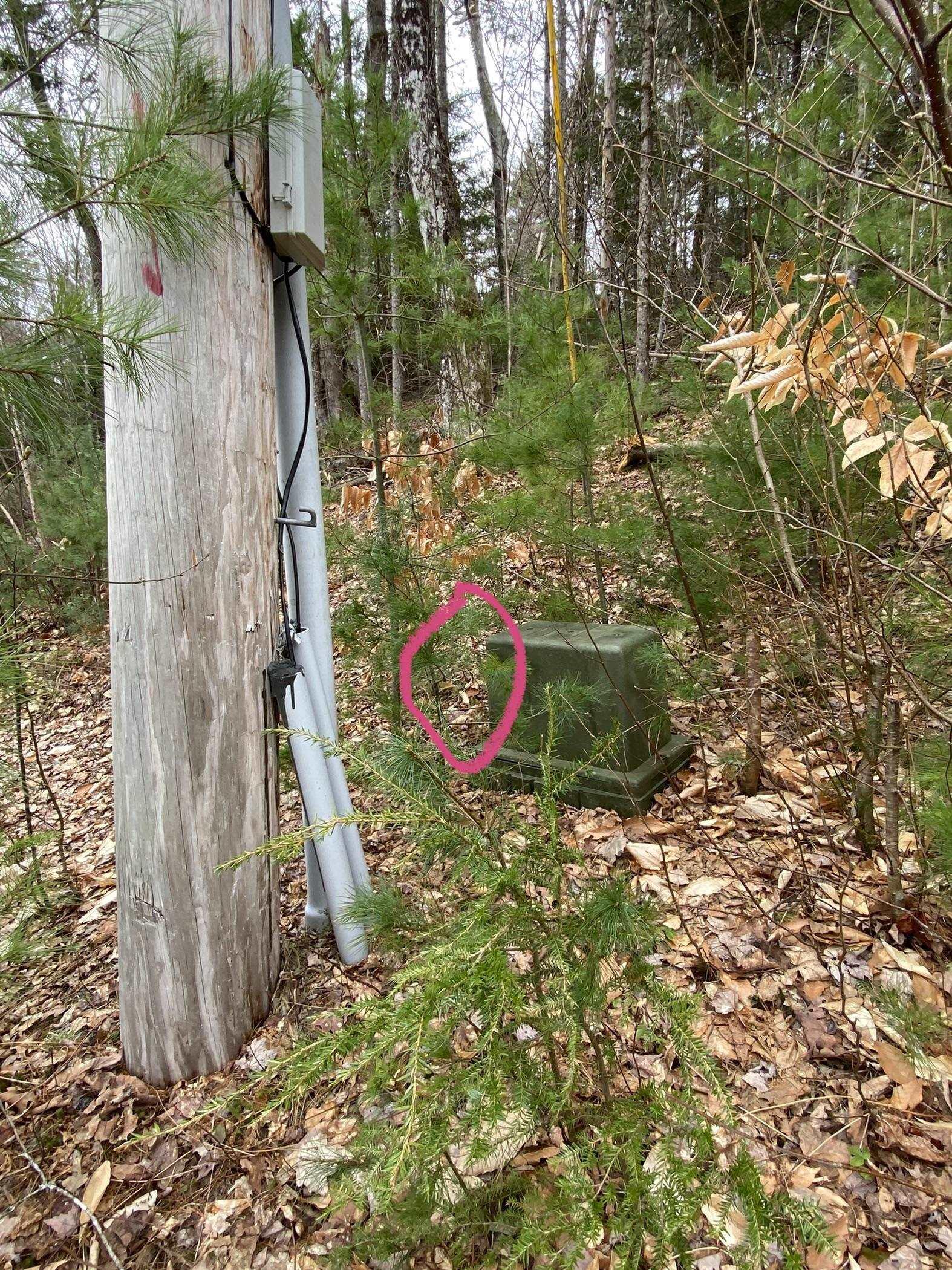 Image 2: Image 2 Image 2: Image 2