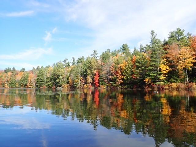 Image 3: Image 3 Image 3: Image 3