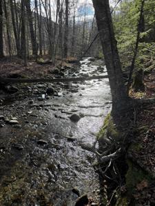 1720 Auger Hole Road