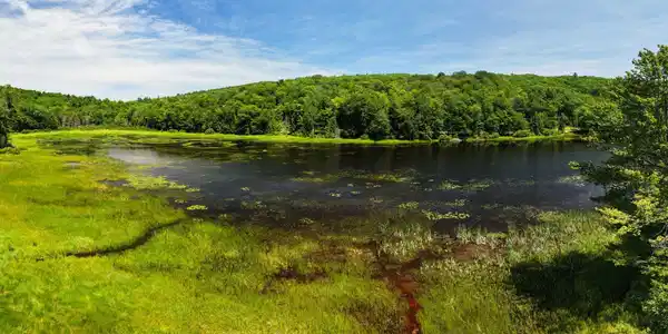 Image 2: Pond