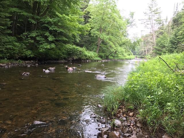 Image 1: Pristine Utley Brook