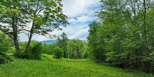 Image 4: Lush Lawns Image 4: Lush Lawns