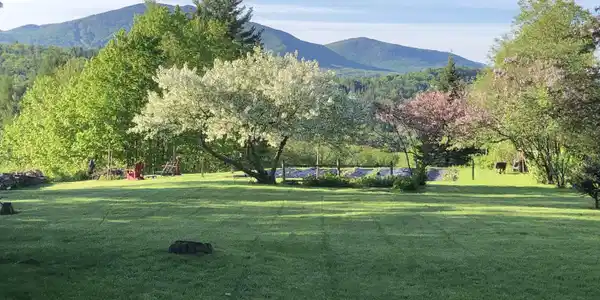 Image 4: The front yard