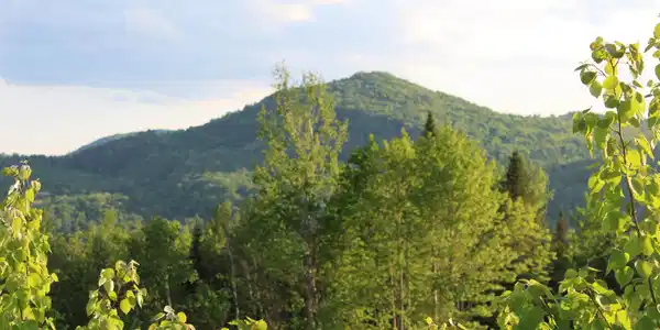 Image 3: Local Mountain View