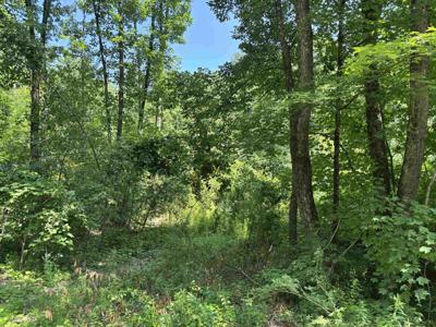 Upper Plains Road