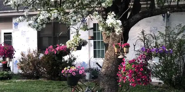 Image 3: Summer flowers